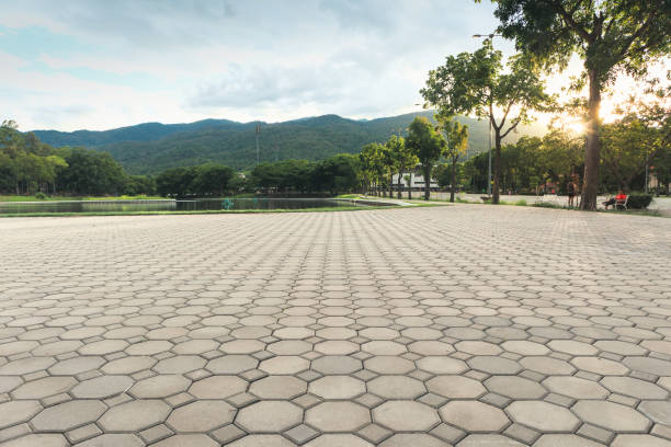 Best Interlocking Driveway Pavers  in Cuthbert, GA